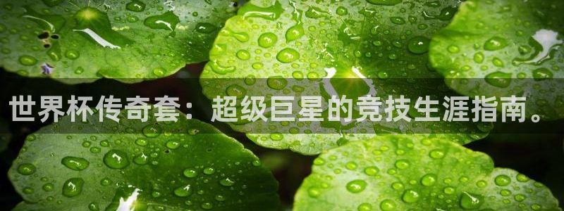 2026世界杯直播：世界杯传奇套：超级巨星的竞技生涯指南。
