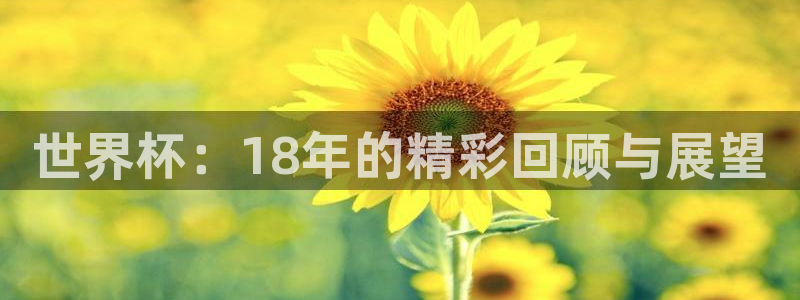 2026葡萄牙杯赛程表：世界杯：18年的精彩回顾与展望
