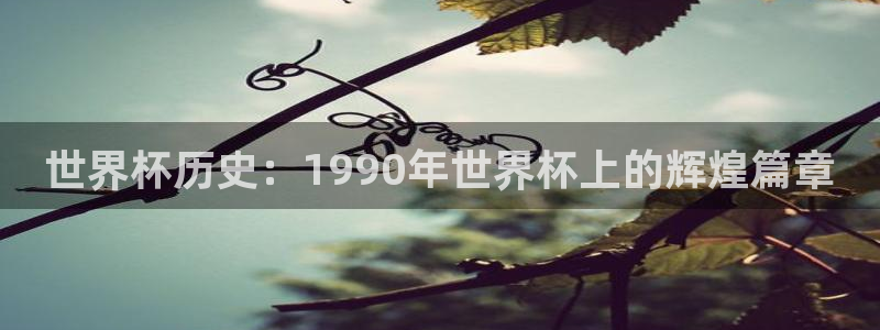 2026世亚预赛赛程表：世界杯历史：1990年世界杯上的辉煌篇章