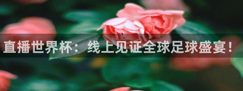 2026男足世界杯：直播世界杯：线上见证全球足球盛宴！