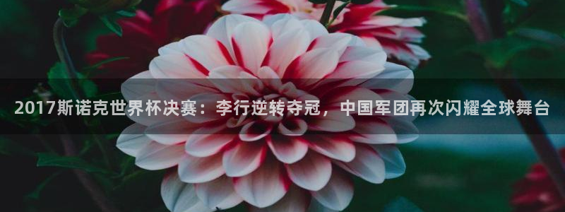 欧洲区世界杯预选赛：2017斯诺克世界杯决赛：李行逆转夺冠，中国军团再次闪耀全球舞台
