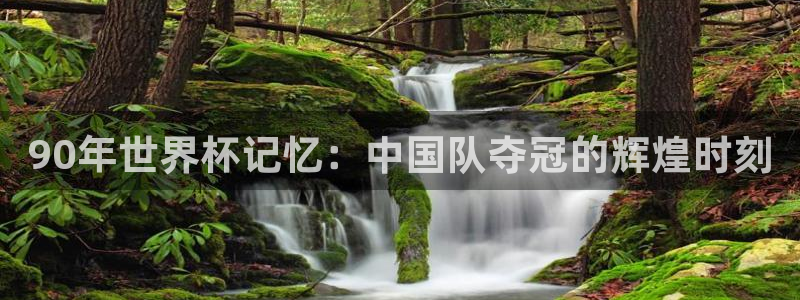 2026世界杯小组赛赛程时间表：90年世界杯记忆：中国队夺冠的辉煌时刻