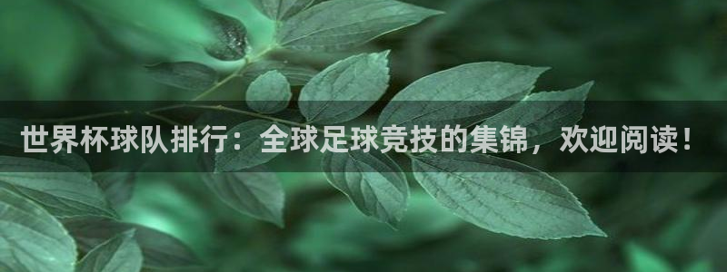 世界杯预选赛规则：世界杯球队排行：全球足球竞技的集锦，欢迎阅读！