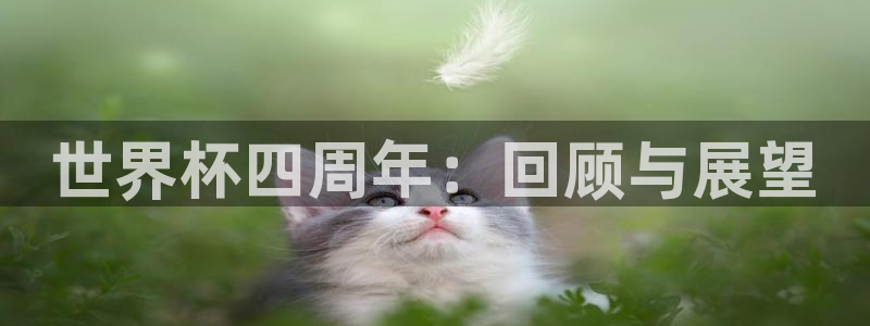 世预赛欧洲赛程表：世界杯四周年：回顾与展望