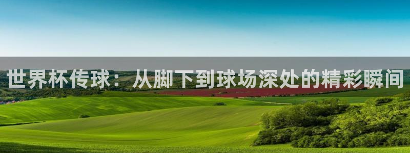 欧洲世预赛赛程表：世界杯传球：从脚下到球场深处的精彩瞬间