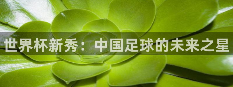 世界杯比赛时间：世界杯新秀：中国足球的未来之星