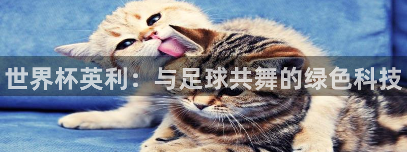 欧洲区世界杯预选赛：世界杯英利：与足球共舞的绿色科技