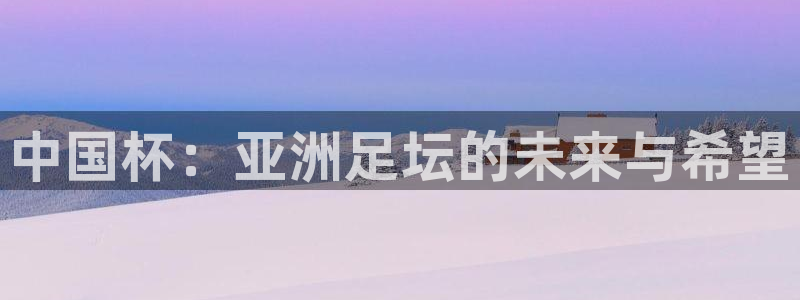 2026世界杯中国队：中国杯：亚洲足坛的未来与希望