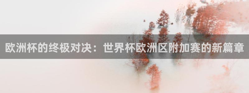 世界杯比赛直播：欧洲杯的终极对决：世界杯欧洲区附加赛的新篇章