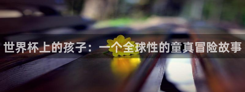 世界杯足球比赛：世界杯上的孩子：一个全球性的童真冒险故事