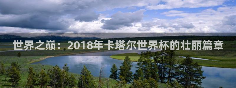 国际足联世界杯：世界之巅：2018年卡塔尔世界杯的壮丽篇章