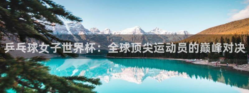 世界杯亚洲区预选赛赛程表：乒乓球女子世界杯：全球顶尖运动员的巅峰对决